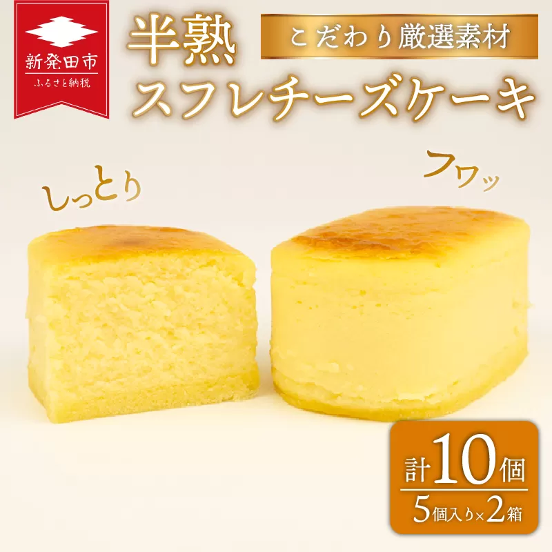  半熟スフレ チーズケーキ10個 5個入り 2箱 贈答 ギフト おすすめ 菜菓亭 新潟銘菓 新潟 新発田 いえい 菜菓亭 洋菓子 お歳暮 iei001_01