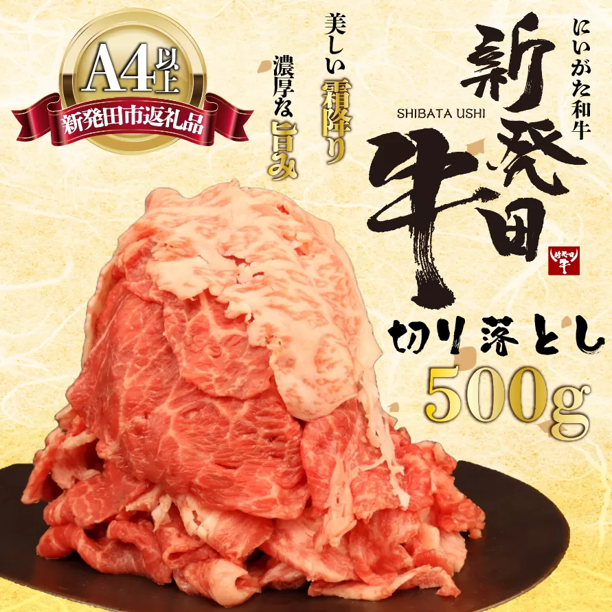 牛肉 切り落とし 500g 肉 和牛 霜降り ブランド牛 新発田牛 にいがた和牛 国産 しゃぶしゃぶ 小分け 小間切れ スライス 簡単調理 贈答 お歳暮 新潟県 新発田市 新潟 新発田 年末の推し えのもとミート enomoto001