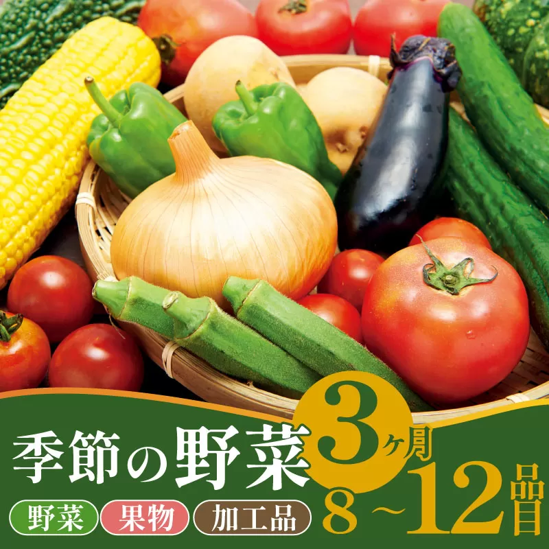 野菜 定期便 3回 8～12種類 旬 おまかせ 野菜BOX 詰め合わせ 野菜定期便 ふるさと納税野菜 やさい ていばん 詰め合わせ セット 産地直送 新鮮 新潟 新発田 seida009