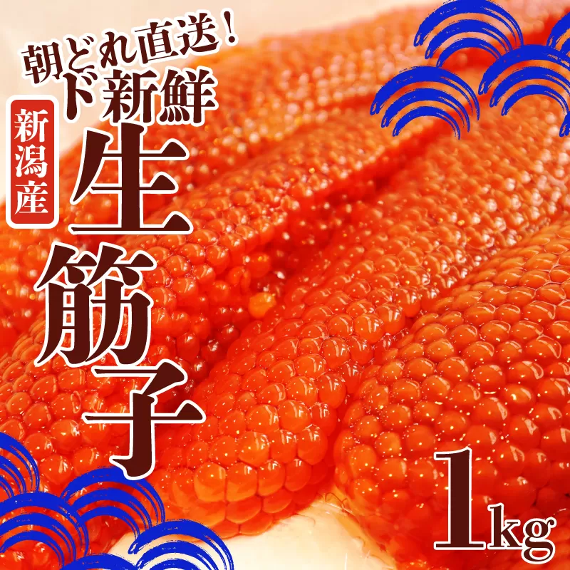 令和6年産 生筋子 1kg【 いくら 鮭 生いくら 海鮮 鮮魚 朝どれ 朝採れ とれたて 国産 新潟県産 お正月 おせち 年末 年始 贈答 予約 いくら はらこ 筋子 J41 】