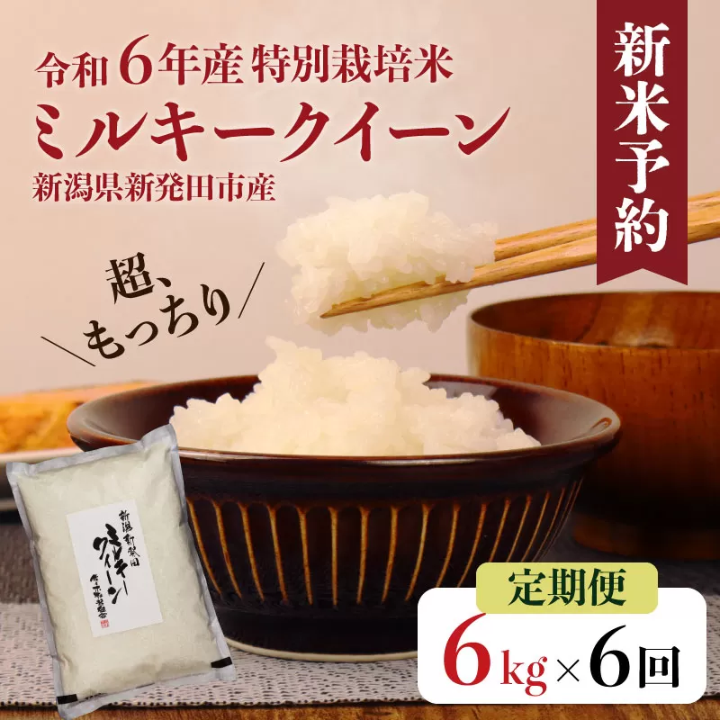 【定期便】 令和6年産 ミルキークイーン 2kg×3袋×6ヵ月  【 新潟県 新潟産 新発田産 米 ミルキークイーン 佐々木耕起組合 2kg 6ヵ月 6kg 36kg 定期便D44_001  】