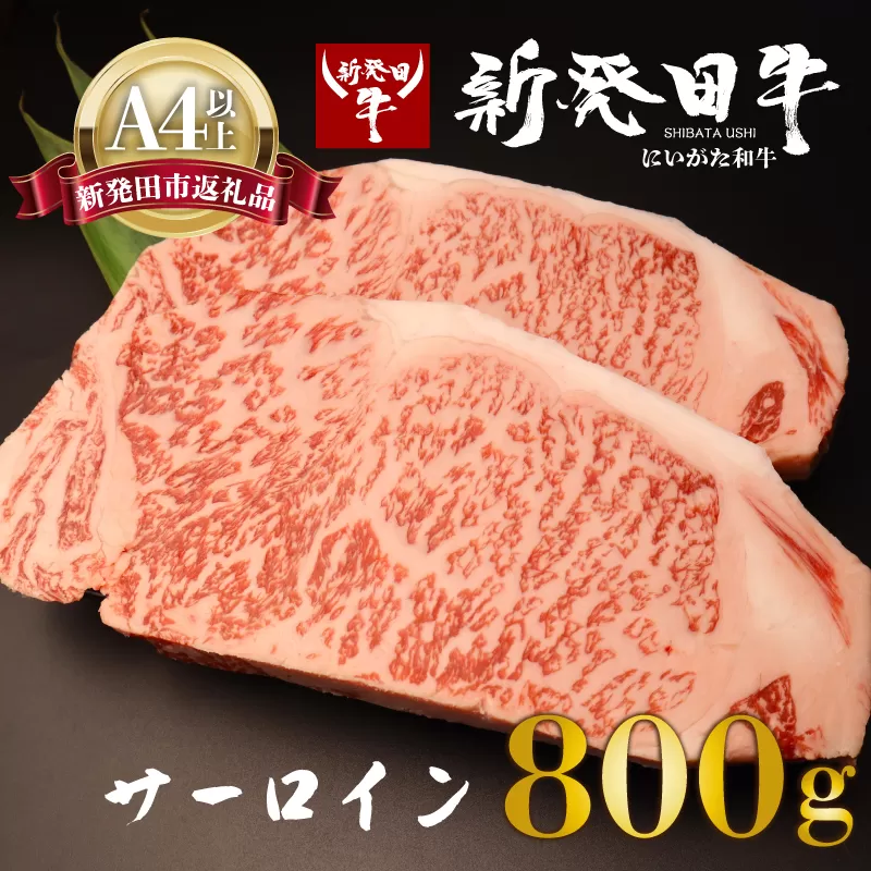 サーロイン ステーキ 牛肉 800g にいがた和牛 和牛 新発田牛 赤身 焼肉 ふるさと納税 和牛 BBQ キャンプ 特選 贅沢 厳選和牛 ブランド牛 ギフト 贈答 お歳暮  新潟 新潟県 新潟産 新発田 新発田市 新発田産 年末の推し えのもとミート enomoto011