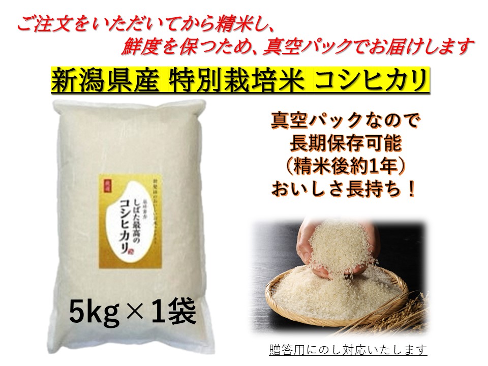 令和5年産 新潟県産コシヒカリ 5kg しばた最高のコシヒカリ 新発田のおいしいお米コンテスト入賞米 【 真空 長期保存 備蓄 真空パック 新潟 新潟県  米 5kg 入賞米 コシヒカリ 最高 コンテスト 新発田産 D51 】｜新発田市｜新潟県｜返礼品をさがす｜まいふる by AEON CARD