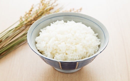 定期便】 令和5年産 特別栽培米コシヒカリ 2kg×2袋×6ヵ月 【 新潟県