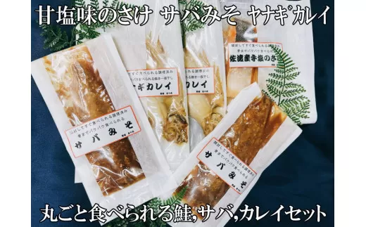 丸ごと食べられる鮭、サバ、カレイセット 【 甘塩 味噌漬け 一夜干し つまみ おかず 時短 鮭 サバ カレイ 佐々木食品 I44_02 】