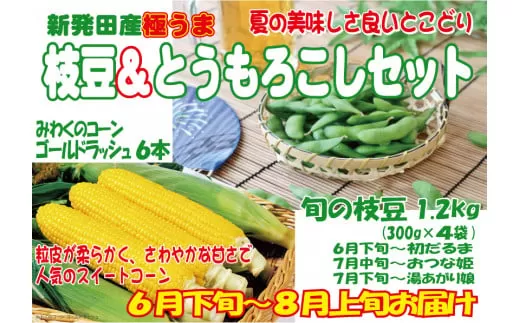 夏の味覚の最強コンビ♡枝豆＆とうもろこしセット【 新潟県 新発田産 枝豆 とうもろこし セット 先行予約 数量限定 C21_01 】