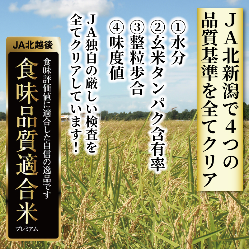 令和5年産 JA北新潟 特別栽培米コシヒカリ 5㎏×2袋 今摺米 【新潟県産 新発田 特別栽培米 コシヒカリ 5kg 2袋 今ずり米 JA北新潟  10kg D50 】｜新発田市｜新潟県｜返礼品をさがす｜まいふる by AEON CARD