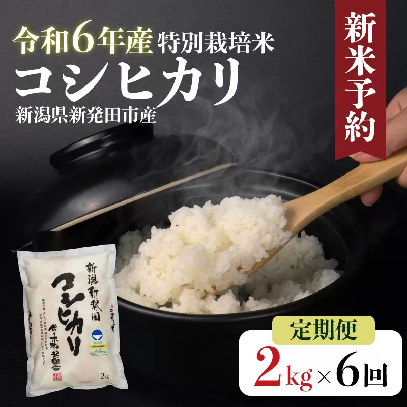 【定期便】 令和6年産 特別栽培米コシヒカリ2㎏×6か月 【 新潟県 新潟産 新発田産 米 コシヒカリ 佐々木耕起組合 2kg 6ヵ月 定期便 特別栽培米 D13_001 】