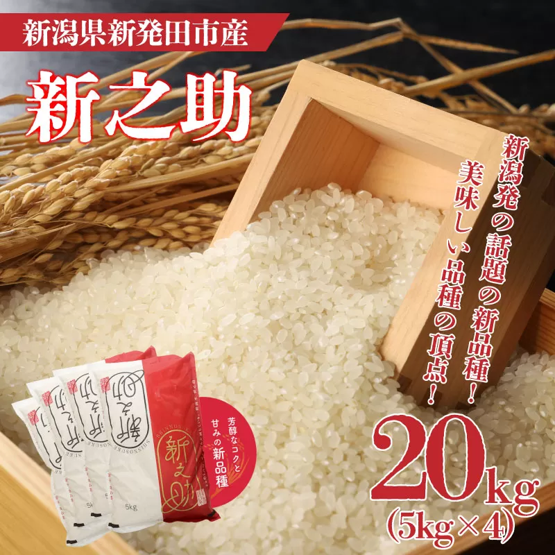 令和6年産 新之助 20kg  新米 お米 ご飯 白米 精米【 新潟 新潟県 米 5kg　4袋 新之助 　新発田産 】watasho009