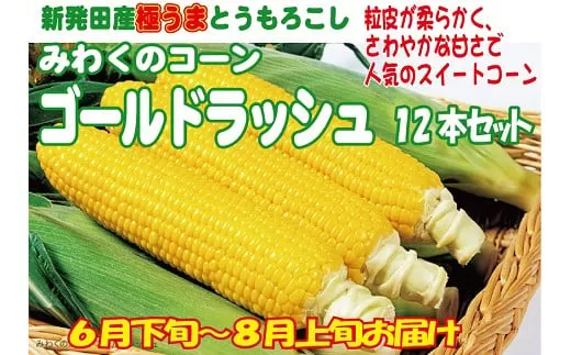 朝採れ新鮮！ とうもろこし 12本【 新潟県 新発田市 とうもろこし セット 先行予約 朝採れ 12本 スイートコーン ゴールドラッシュ 数量限定 C52_01 】