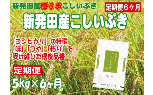 【定期便】 令和5年産 新発田産こしいぶき 5㎏×6か月 【 新潟県 新潟産 新潟米 新発田産 新発田 お米 米 こしいぶき とんとん市場 せいだ 5kg 30kg 6か月 半年 定期便 数量限定 玄米 D56_01 】