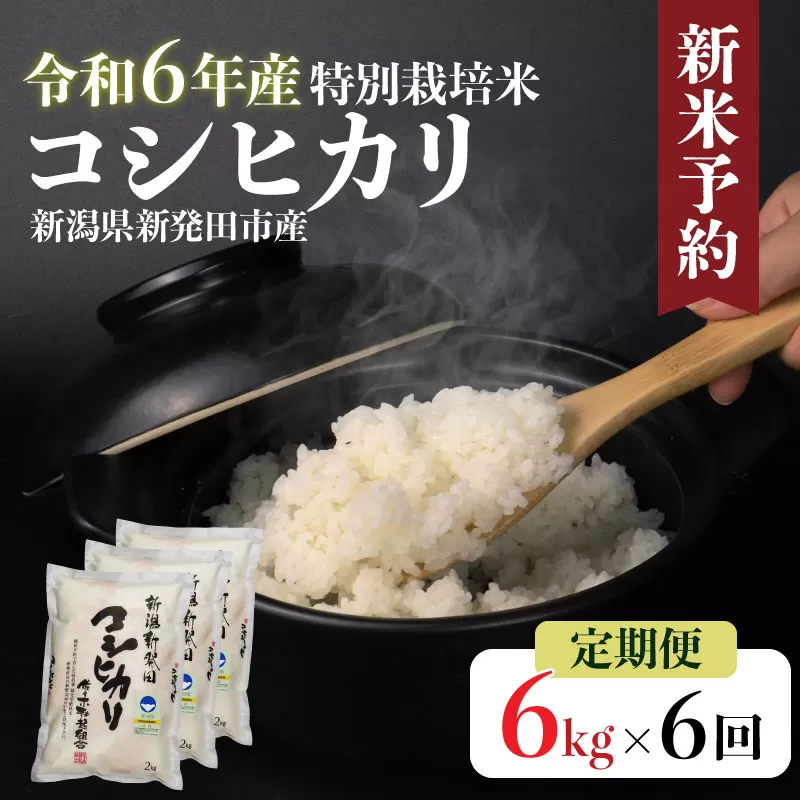 【定期便】 令和6年産 特別栽培米 コシヒカリ 2kg×3袋×6ヵ月 【 新潟県 新潟産 新発田産 米 コシヒカリ 佐々木耕起組合 2kg 6ヵ月 定期便 特別栽培米D14_001 】