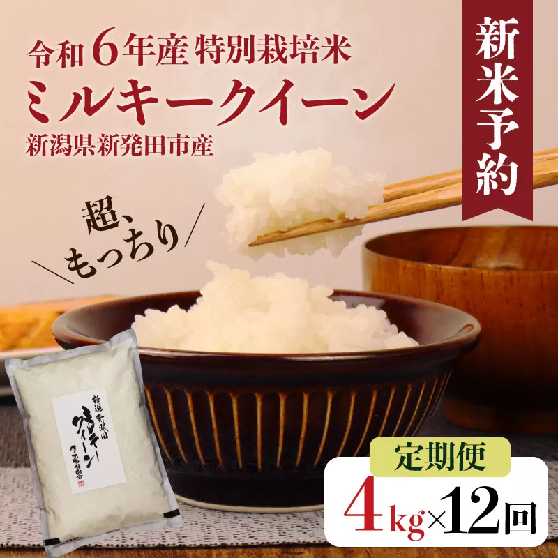 【定期便】 令和6年産 ミルキークイーン 2kg×2袋×12ヵ月 【 新潟県 新潟産 新発田産 米 ミルキークイーン 佐々木耕起組合 2kg 12ヵ月 4kg 48kg 定期便D46_001  】