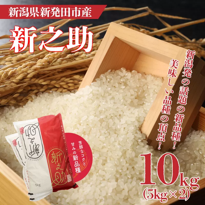 令和6年産 新之助 10kg  新米 お米 ご飯 白米 精米【 新潟 新潟県 米 5kg 2袋 新之助 新発田産 】 watasho008