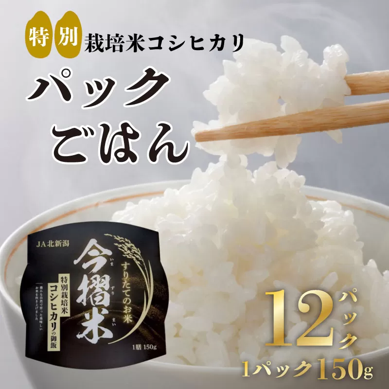 パックごはん 12個 [ 新潟県産 JA北越後 北越後農業協同組合 米 コシヒカリ 今摺米 パックごはん レトルト 特別栽培米 セット 防災 保存食 備蓄 150g 12個 D66 ]