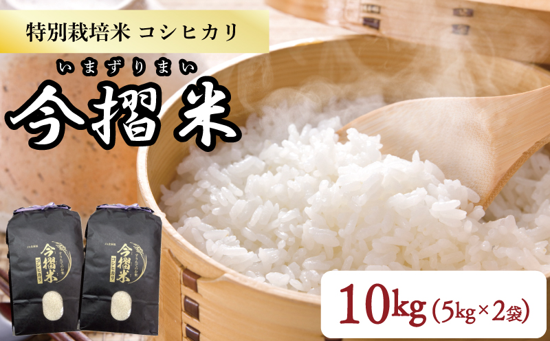 令和5年産 JA北新潟 特別栽培米コシヒカリ 5㎏×2袋 今摺米 【新潟県産 新発田 特別栽培米 コシヒカリ 5kg 2袋 今ずり米 JA北新潟  10kg D50 】｜新発田市｜新潟県｜返礼品をさがす｜まいふる by AEON CARD