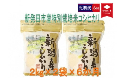 定期便】 令和5年産 特別栽培米コシヒカリ 2kg×2袋×6ヵ月 【 新潟県