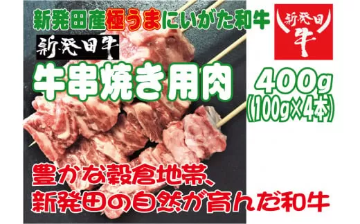 新発田牛 串焼き用 100g×4本 【 新発田牛 和牛 ブランド にいがた和牛 串焼き 100g 4本 H16_01 】