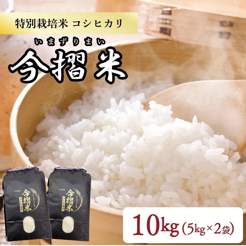 令和5年産 JA北新潟 特別栽培米コシヒカリ 5㎏×2袋 今摺米 【新潟県産 新発田 特別栽培米 コシヒカリ 5kg 2袋 今ずり米 JA北新潟 10kg D50 】