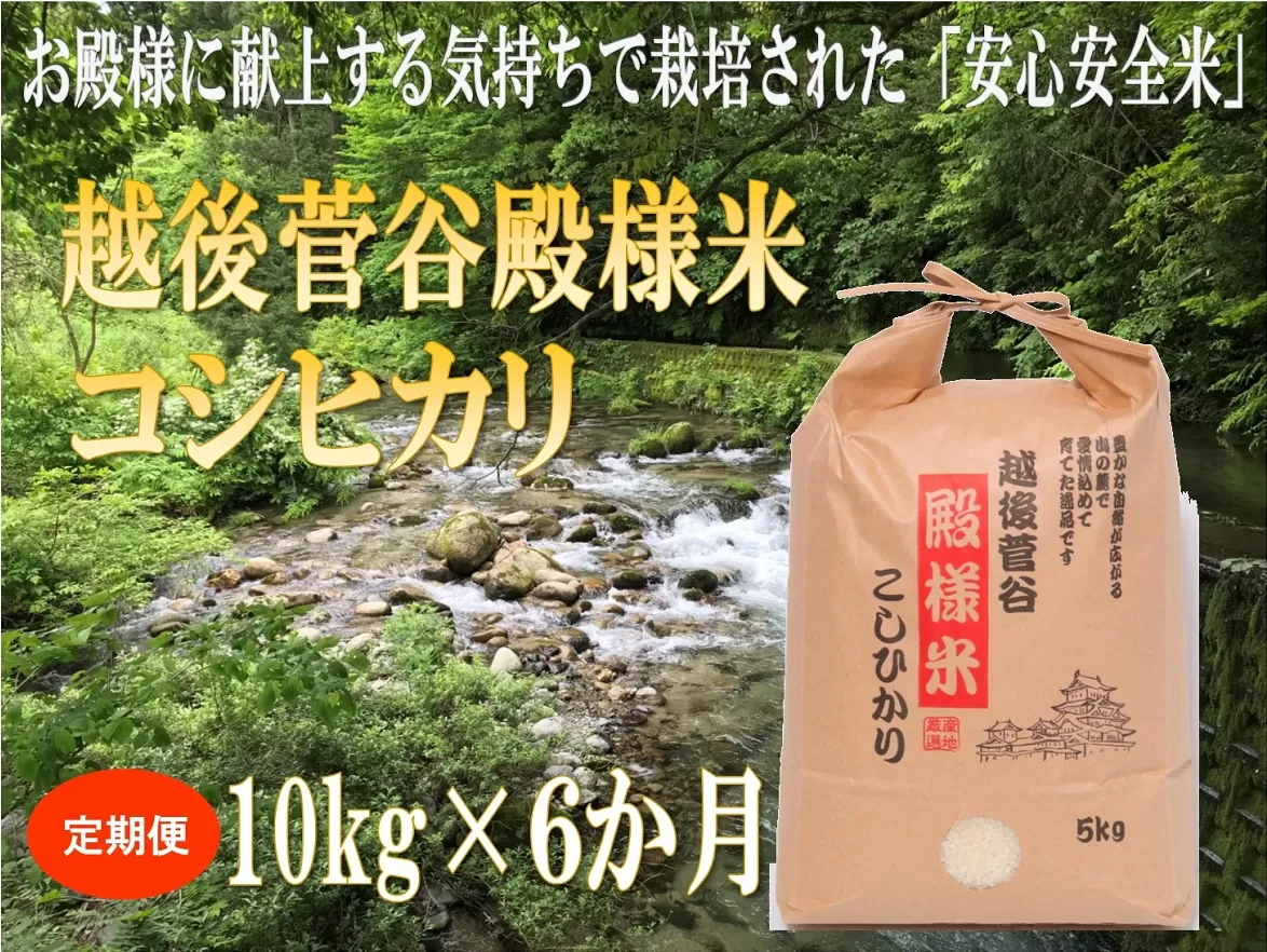 【定期便】令和6年産 新潟県産 越後菅谷殿様米 10㎏×6ヵ月【 新潟県 新潟産 新発田産 米 コシヒカリ 特別栽培米 越後菅谷米販売 10kg 6ヵ月 定期便 殿様 数量限定 】 D17_01