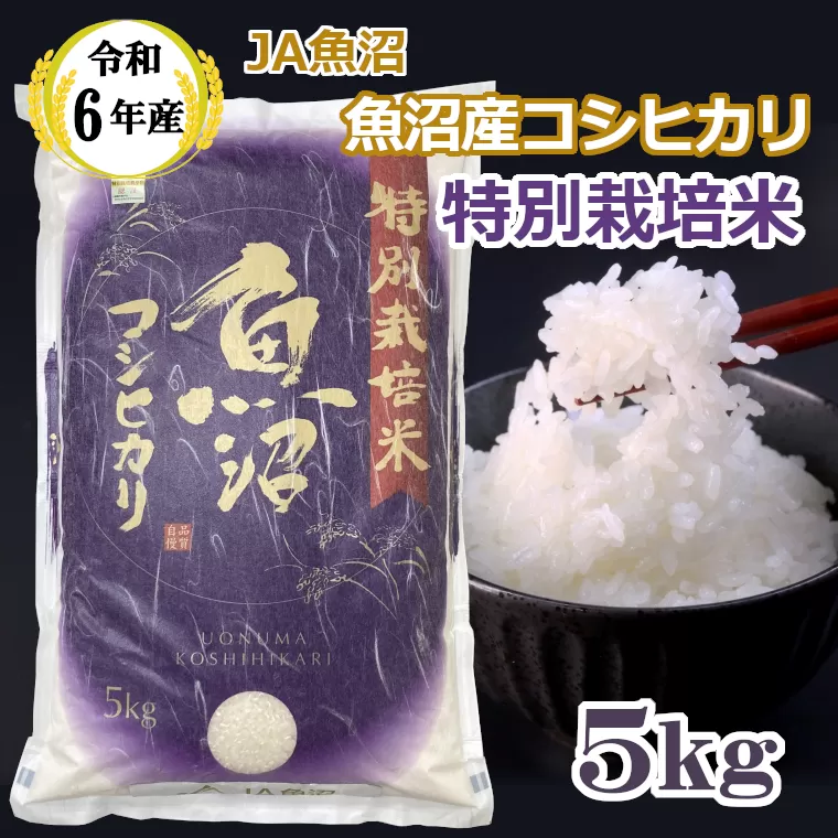 JA15P316 令和6年産 特別栽培米 魚沼産コシヒカリ5kg 令和6年10月下旬頃から受付順に発送予定 JA魚沼 白米 魚沼 米