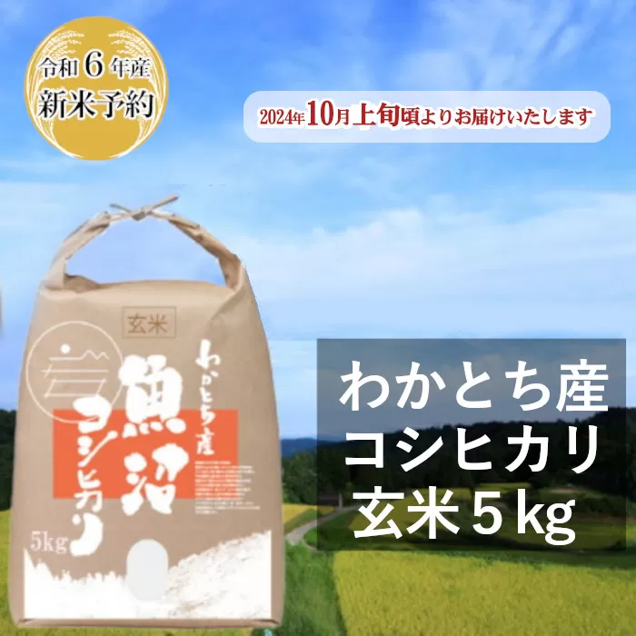 W10P151 【令和6年産 新米予約】 わかとち産 魚沼コシヒカリ 特別栽培 棚田米「玄米」5kg 早期受付 2024年10月上旬から発送開始