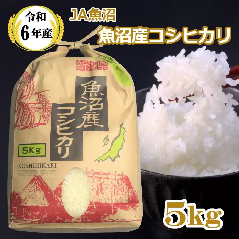 JA14P314 令和6年産魚沼産コシヒカリ5kg【クラフト袋入り】（JA魚沼）白米 魚沼 米