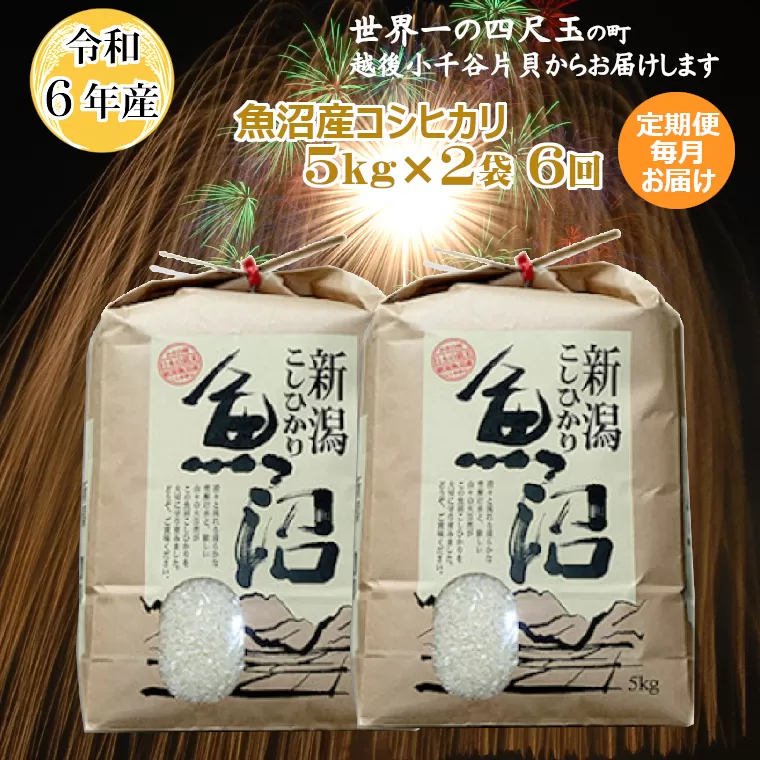 K151P309 ＜令和6年産＞魚沼産コシヒカリ定期便 5kg2袋×6回（毎月お届け）【(有)米萬商店】世界一の四尺玉の町片貝町 白米 魚沼 米 定期便