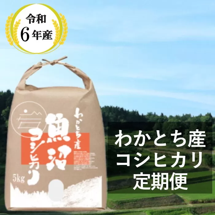 W60P153 【令和6年産 定期便】わかとち産 魚沼コシヒカリ 特別栽培 棚田米 5kg×6回 【毎月お届け】