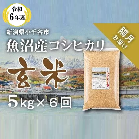 KT70P351 〔定期便 隔月〕〔玄米 選別品〕令和6年産 魚沼産コシヒカリ玄米定期便 5kg×6回【隔月お届け】（米太）