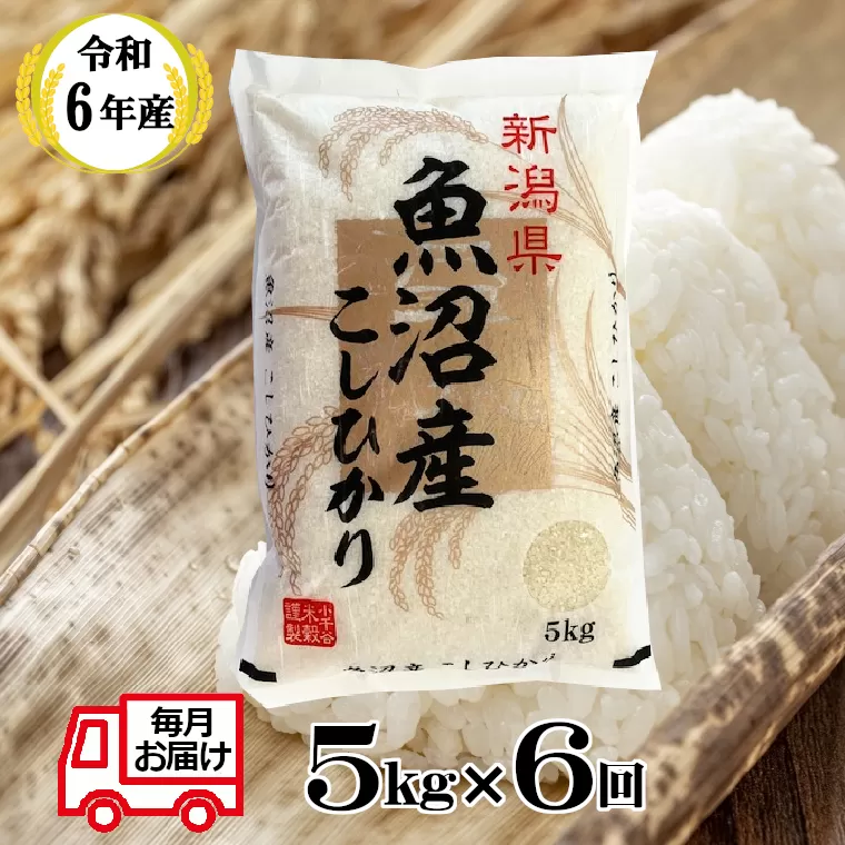 66P389BE 令和6年産 魚沼産コシヒカリ 定期便 5kg×6回【毎月お届け】（小千谷米穀）白米 魚沼 米 定期便