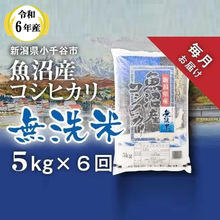 KT74P345 令和6年産 無洗米 魚沼産コシヒカリ定期便5kg×6回（毎月お届け）（米太）