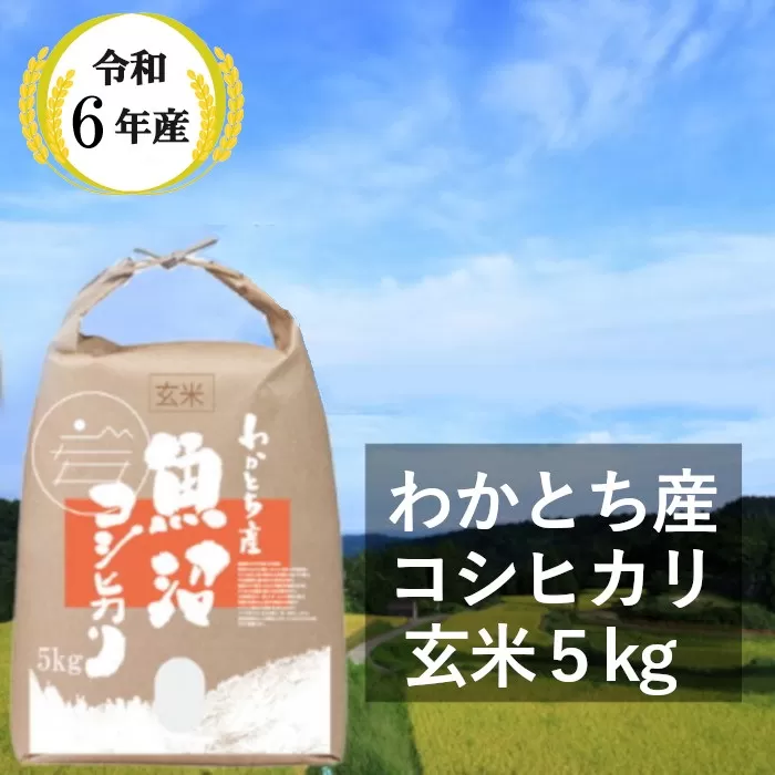 W10P151 [令和6年産] わかとち産 魚沼コシヒカリ 特別栽培 棚田米「玄米」5kg