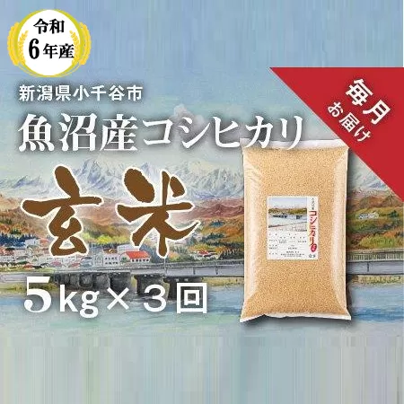 KT35P348〔定期便 毎月〕〔玄米 選別品〕令和6年産魚沼産コシヒカリ玄米定期便 5kg×3回【毎月お届け】（米太）