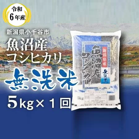 KT13P342 令和6年産 魚沼産コシヒカリ 無洗米 5kg 白米 魚沼 米（米太）