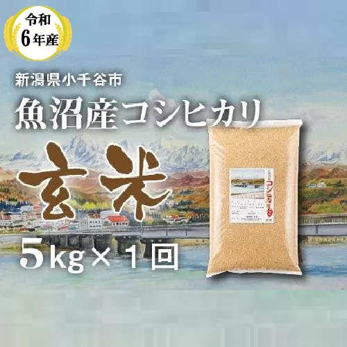 KT12P347 〔玄米 選別品〕 令和6年産魚沼産コシヒカリ 玄米5kg （米太）