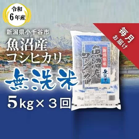 KT37P343 令和6年産 無洗米 魚沼産コシヒカリ定期便5kg 3か月連続お届け 毎月お届け（米太）