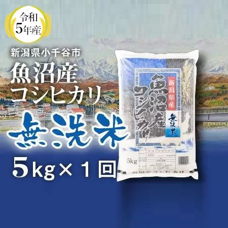 r05-10-4KT 令和5年産 魚沼産コシヒカリ 無洗米 5kg 白米 魚沼 米（米太）