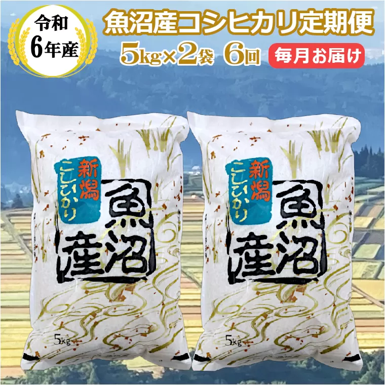 KY173P411 【共栄農工社】 令和6年産 魚沼産コシヒカリ定期便 5kg2袋×6回／毎月お届け 白米 魚沼 米 定期便