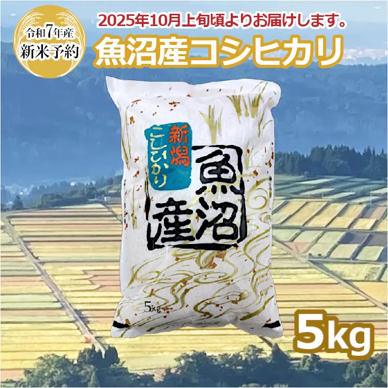 KY16P536 【令和7年産 新米予約】 共栄農工社 魚沼産コシヒカリ 精米 5kg 早期受付 2025年10月上旬頃から発送開始 白米 魚沼 米