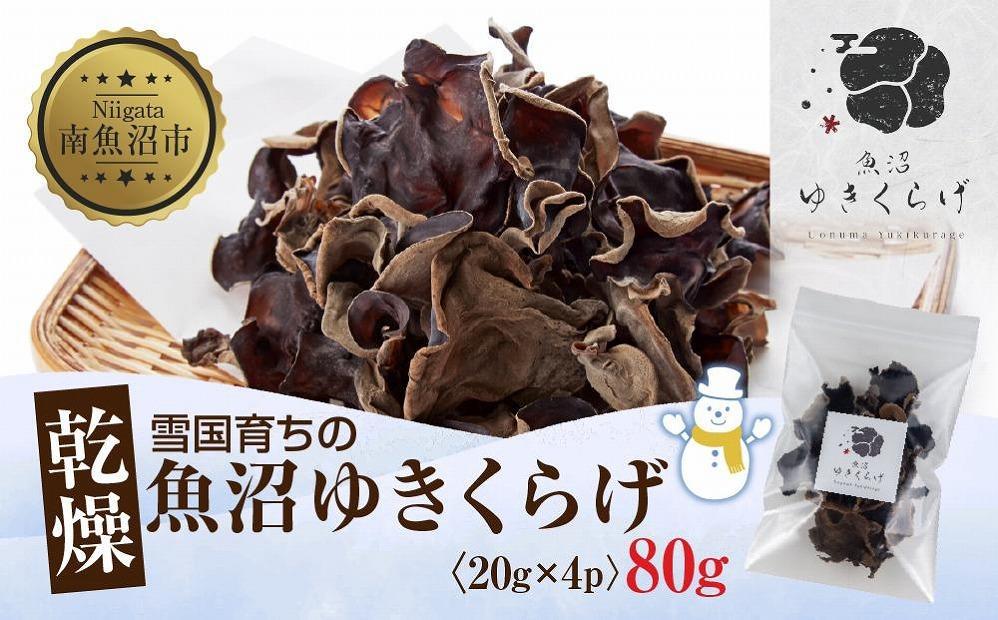 国産 乾燥 きくらげ 20g×4パック 計80g 小分け 栄養豊富 無農薬 無添加 オーガニック 自家栽培 雪国 魚沼ゆきくらげ キクラゲ 木耳  きのこ キノコ ビタミンＤ 肉厚 健康 食品 食物繊維 佃煮 歯ごたえ 菌床 食感 高品質 送料無料 新潟県 南魚沼市｜南魚沼市｜新潟県｜返 ...