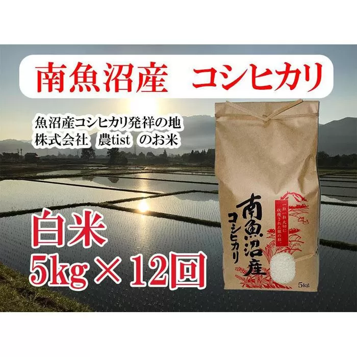 【定期便 南魚沼産】コシヒカリ 白米5kg×12回