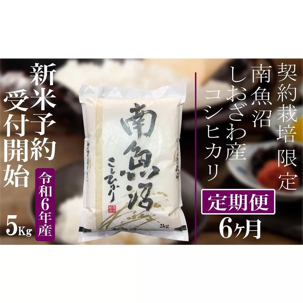 【新米予約・令和6年産】定期便6ヶ月：精米5Kg 契約栽培限定 南魚沼しおざわ産コシヒカリ