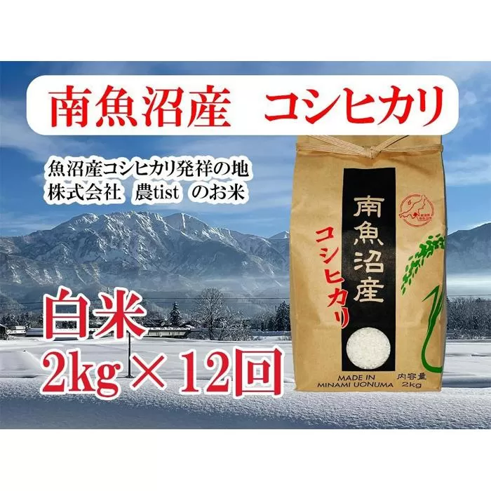 【定期便 南魚沼産】コシヒカリ 白米2kg×12回