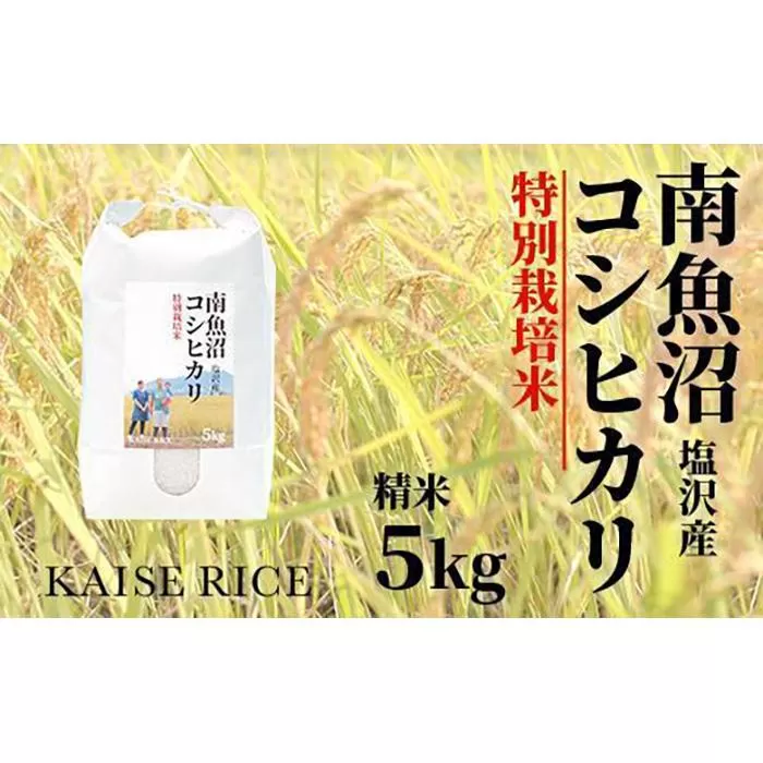 【新米予約９／１５発送スタート】令和６年度産 南魚沼産塩沢コシヒカリ（特別栽培米８割減農薬）精米５ｋｇ