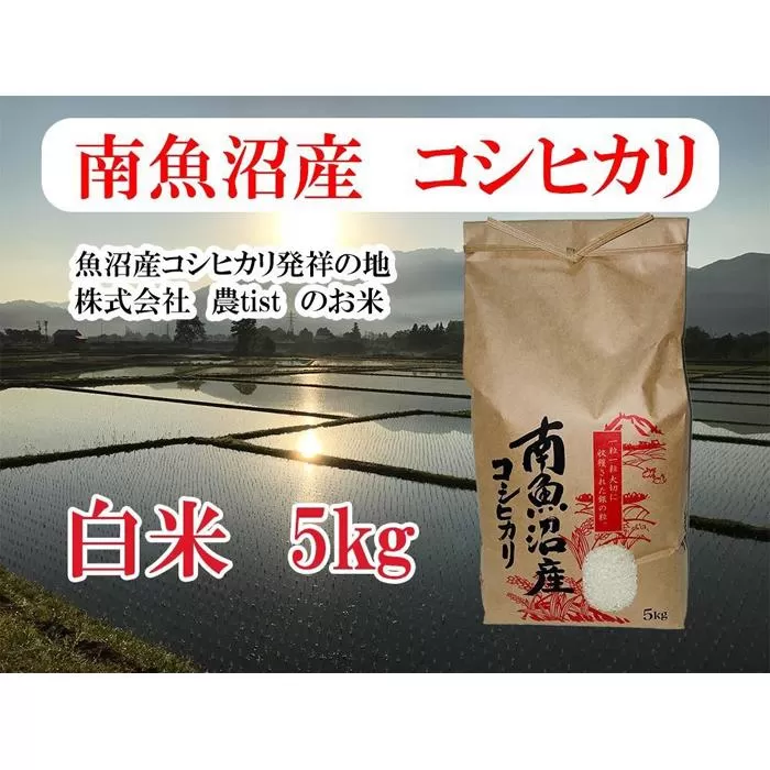 【南魚沼産】コシヒカリ 白米5kg