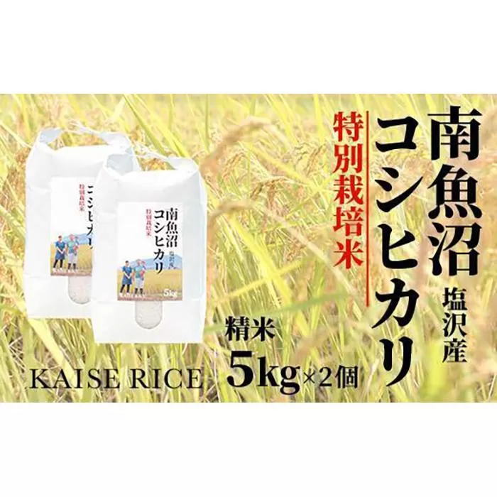 【新米予約９／１５発送スタート】令和６年度産 南魚沼産塩沢コシヒカリ（特別栽培米８割減農薬）精米５ｋｇ×２個