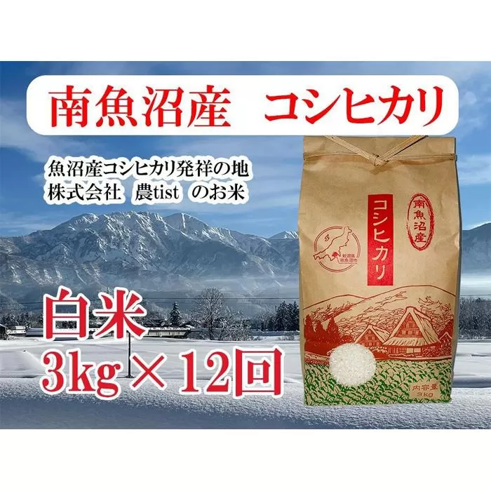 【定期便 南魚沼産】コシヒカリ 白米3kg×12回