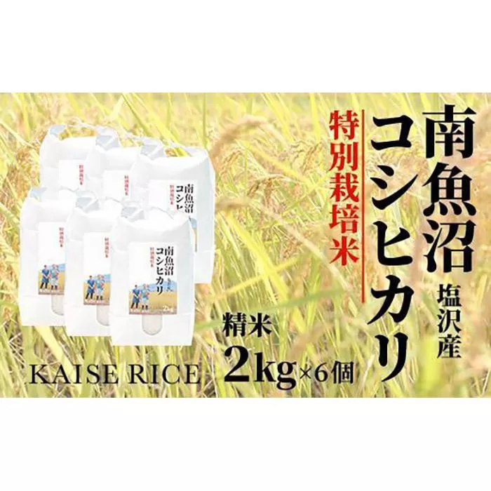 【新米予約９／１５発送スタート】令和６年度産 南魚沼産塩沢コシヒカリ（特別栽培米８割減農薬）精米２ｋｇ×６個