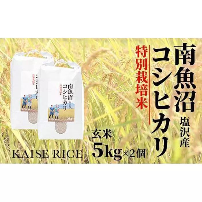 【新米予約９／１５発送スタート】令和６年度産 南魚沼産塩沢コシヒカリ（特別栽培米８割減農薬）玄米５ｋｇ×２個